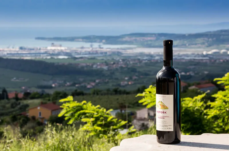 Marezige, Slovenian Istria
